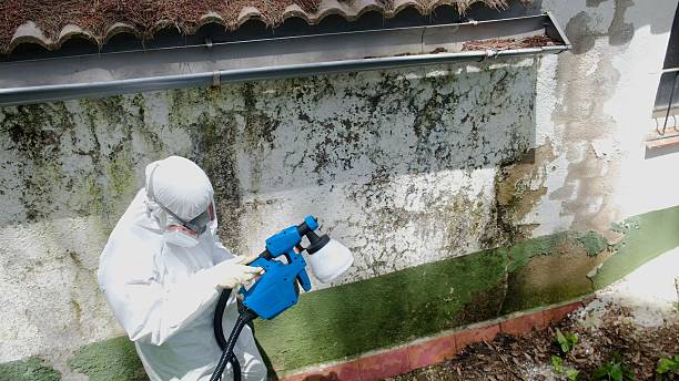 Trusted Commercial Mold Remediation service in Forest Lake, IL - Cheap Mold Removal